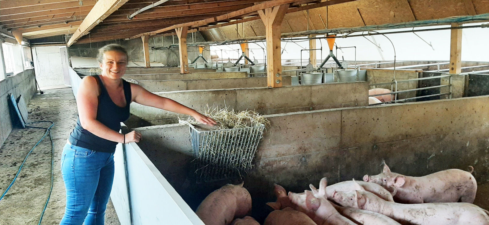 Angela_im_Pigpoard_3_-_Heu_als_Beschäftigungsmaterial b.jpg © LKOÖ/Derntl Angela_im_Pigpoard_3_-_Heu_als_Beschäftigungsmaterial b.jpg © LKOÖ/Derntl
