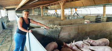 Angela_im_Pigpoard_3_-_Heu_als_Beschäftigungsmaterial b.jpg © LKOÖ/Derntl Angela_im_Pigpoard_3_-_Heu_als_Beschäftigungsmaterial b.jpg © LKOÖ/Derntl
