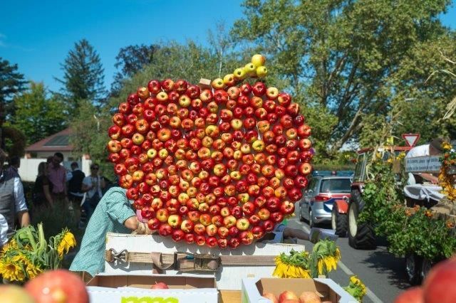 © VideoHomeProduction™, W. Wally © VideoHomeProduction™, W. Wally