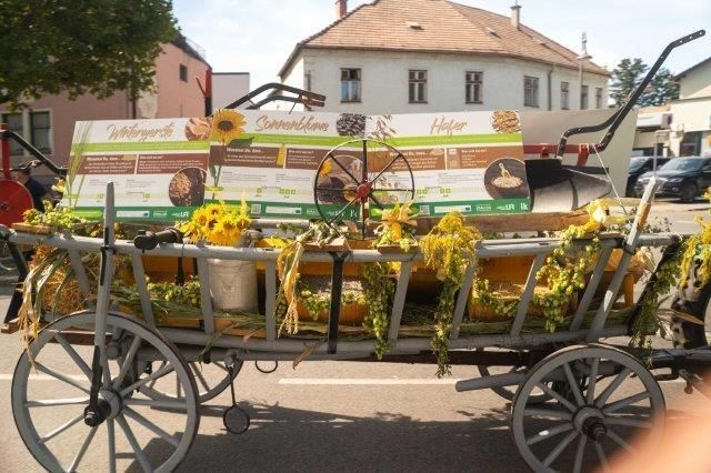 © VideoHomeProduction™, W. Wally © VideoHomeProduction™, W. Wally