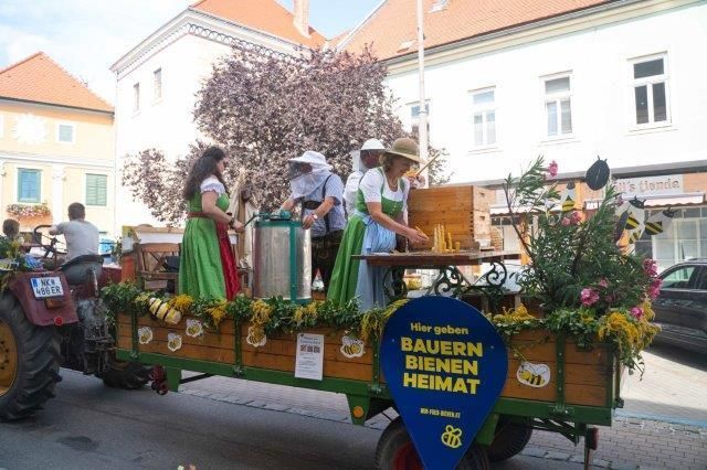 © VideoHomeProduction™, W. Wally © VideoHomeProduction™, W. Wally