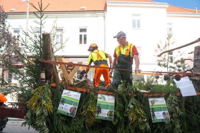 © VideoHomeProduction™, W. Wally © VideoHomeProduction™, W. Wally