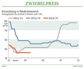 Grafik Zwiebelpreis 40 2024.jpg