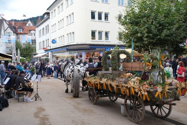 Landesrentedankfest in Bregenz © Land Vorarlberg