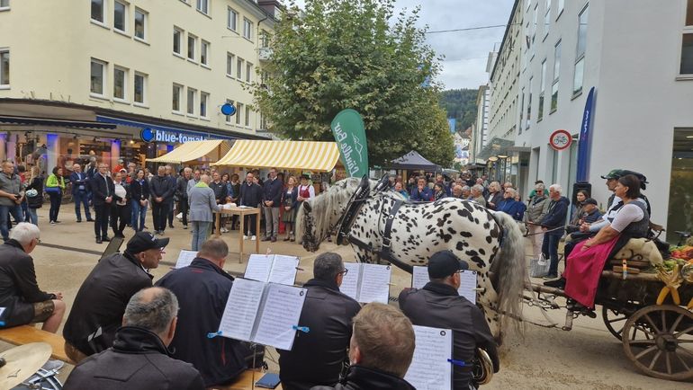 Landesrentedankfest in Bregenz © Land Vorarlberg