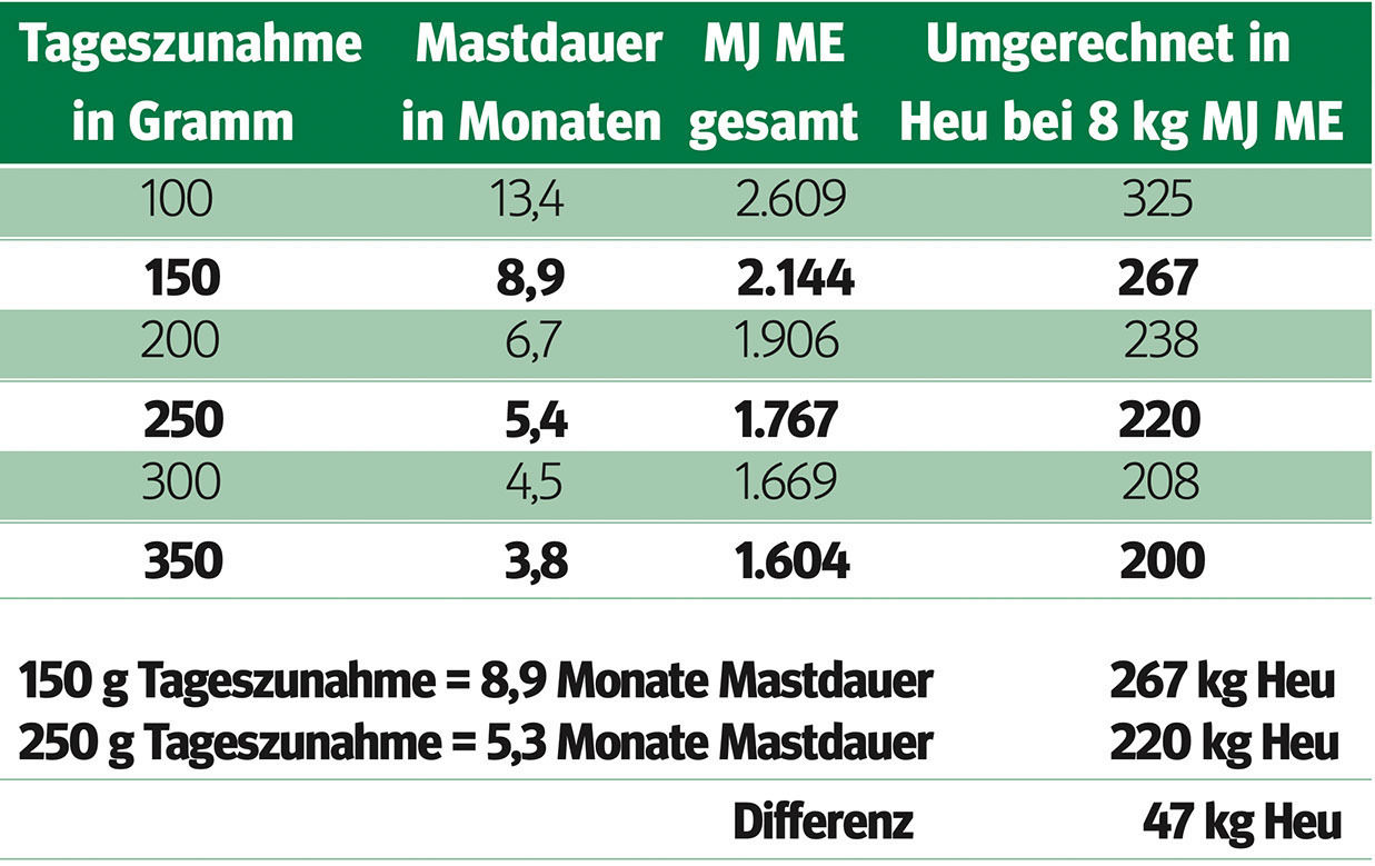 Arbeitskreise lassen den eigenen Betrieb kennenlernen .jpg