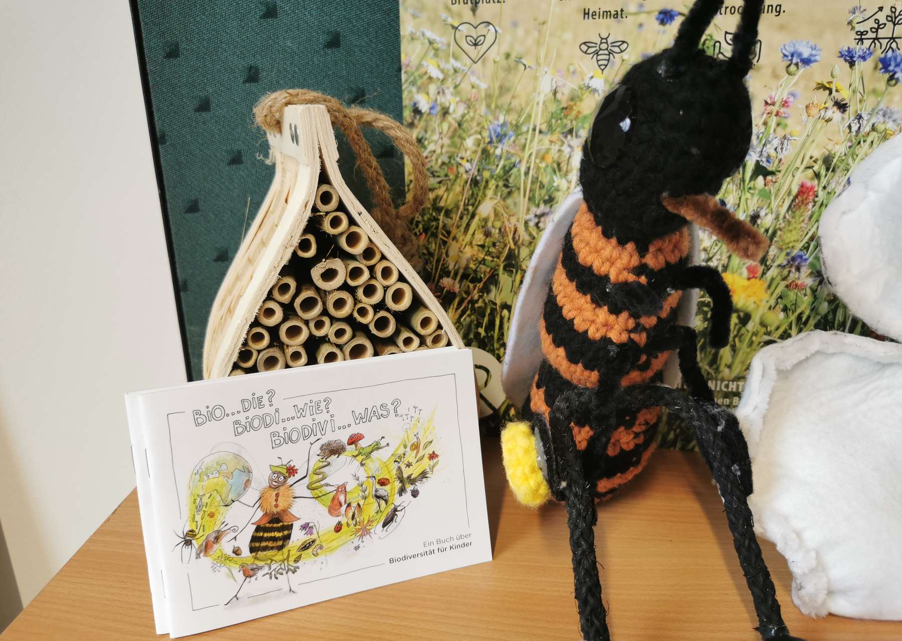 IMG_20241001_091544.jpg © Bienenzentrum OÖ IMG_20241001_091544.jpg © Bienenzentrum OÖ