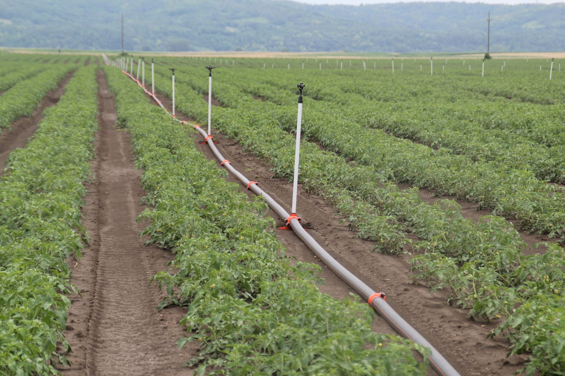 IMG_2086 (002).jpg © Egger IMG_2086 (002).jpg © Egger