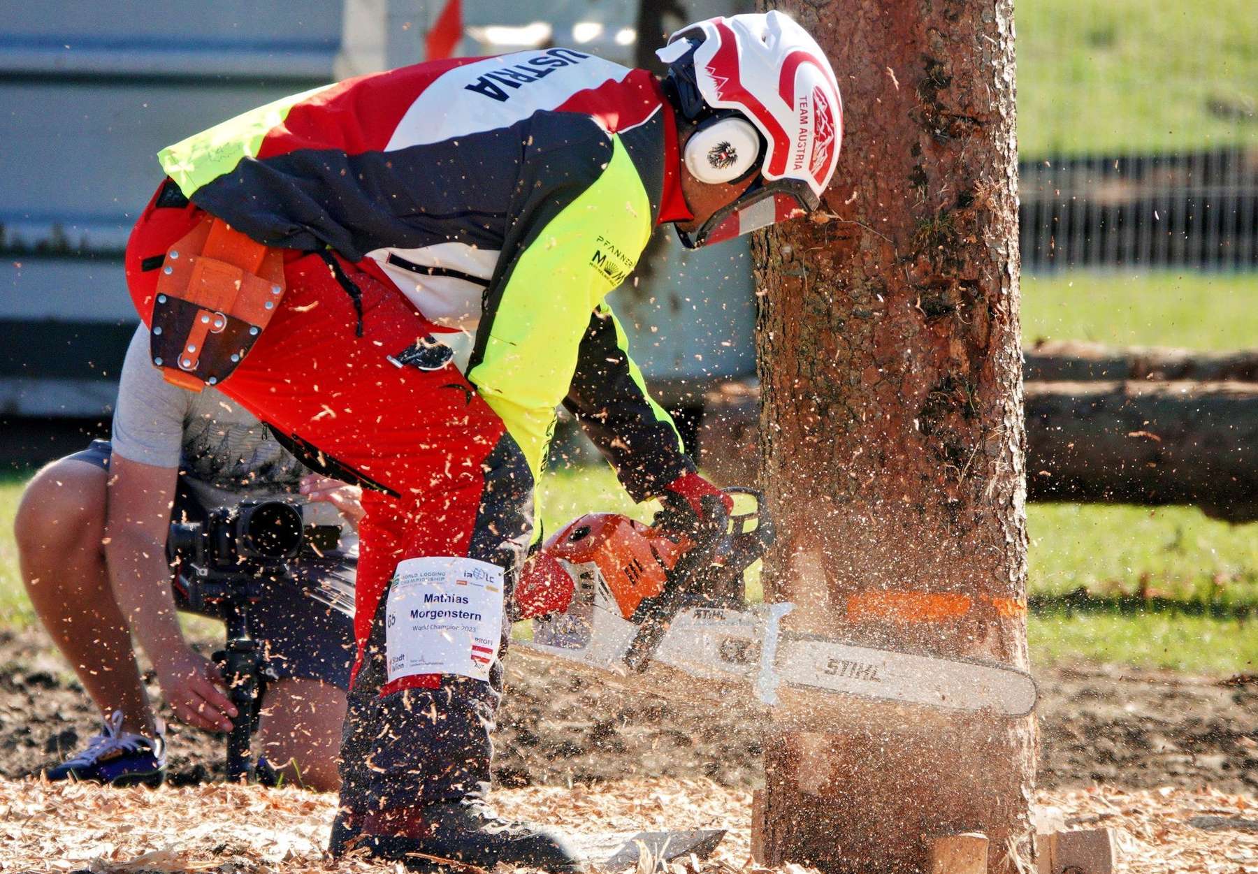 Morgenstern Vize-WM1.jpg © Wolfgang Danzer Morgenstern Vize-WM1.jpg © Wolfgang Danzer