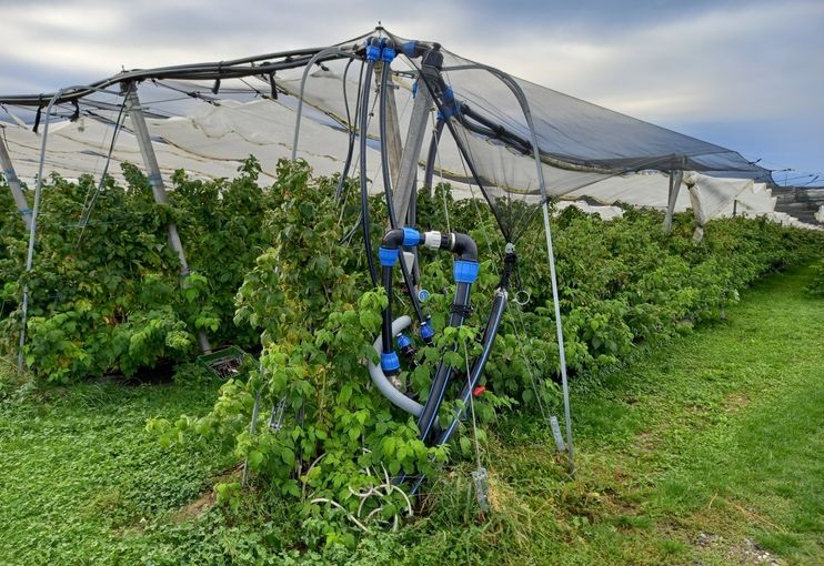 20240927_081306.jpg © Rechtsabteilung/LK Oberösterreich