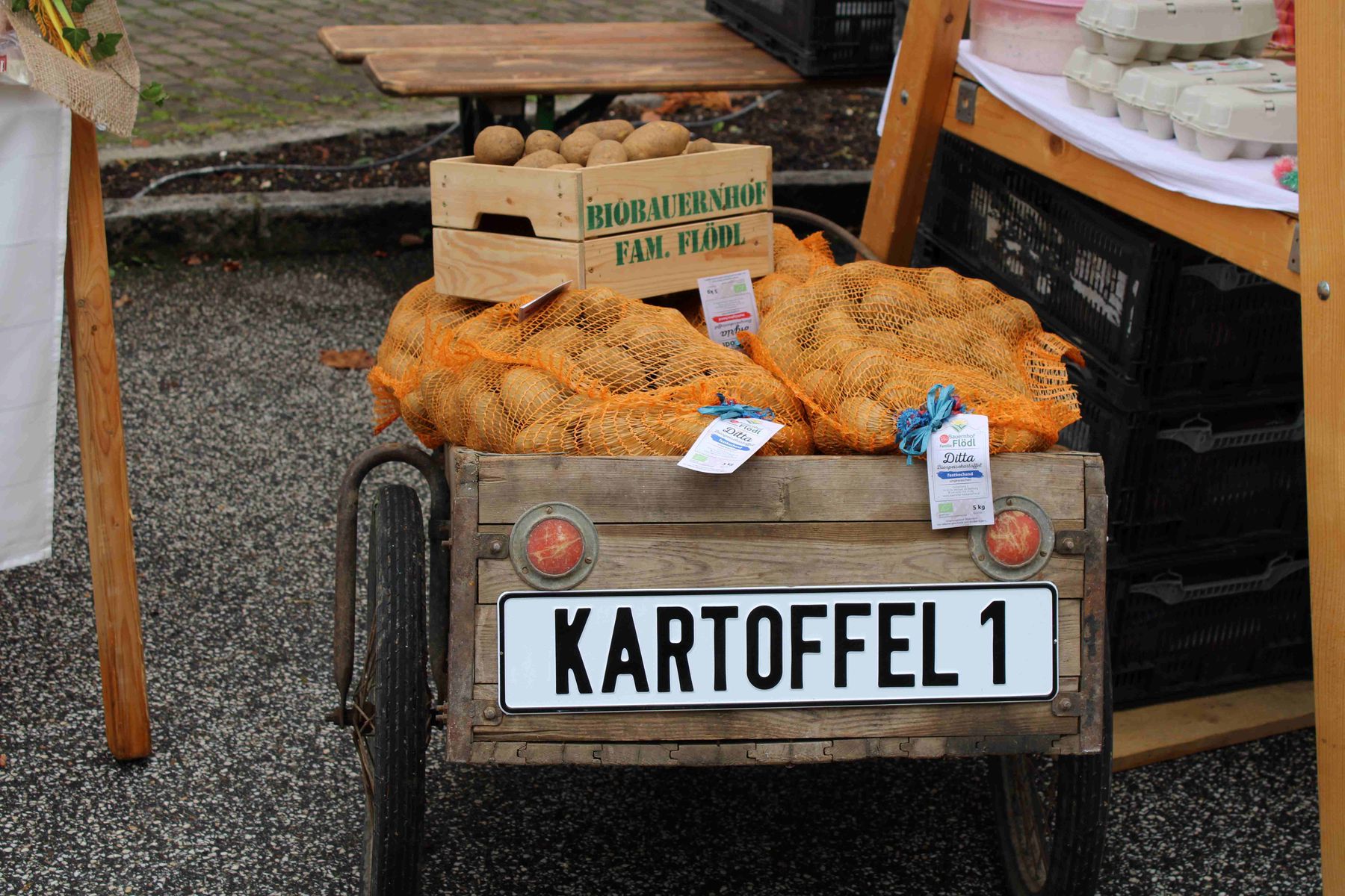 © LK Kärnten/Frießnegger © LK Kärnten/Frießnegger