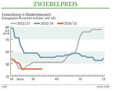 Grafik Zwiebelpreis 41_2024.jpg © LK NÖ