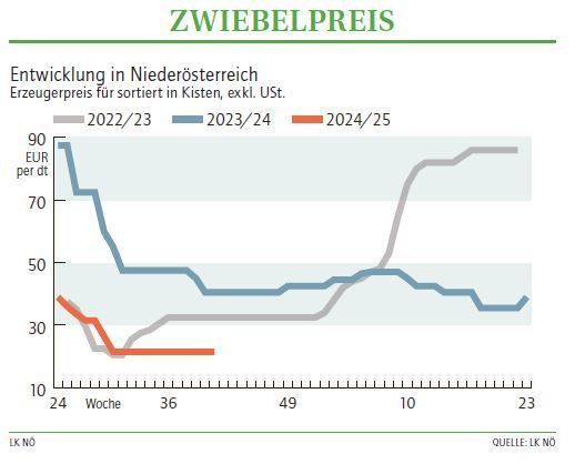 Grafik Zwiebelpreis 41 2024.jpg