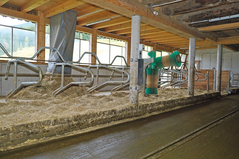 Vier Säulen sichern den Betriebserfolg.jpg © Michael Hatheier Vier Säulen sichern den Betriebserfolg.jpg © Michael Hatheier