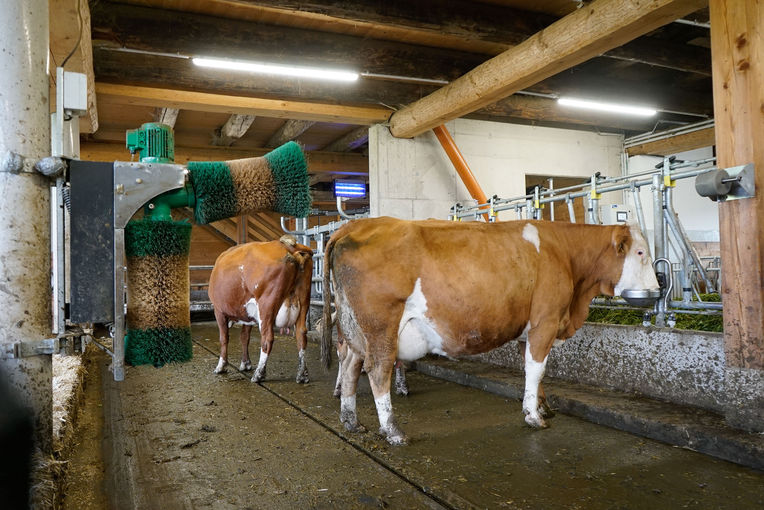 Vier Säulen sichern den Betriebserfolg.jpg © Michael Hatheier Vier Säulen sichern den Betriebserfolg.jpg © Michael Hatheier