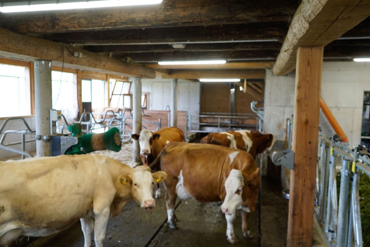 Vier Säulen sichern den Betriebserfolg.jpg © Michael Hatheier Vier Säulen sichern den Betriebserfolg.jpg © Michael Hatheier