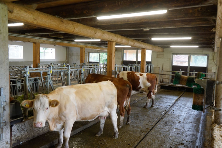 Vier Säulen sichern den Betriebserfolg.jpg © Michael Hatheier Vier Säulen sichern den Betriebserfolg.jpg © Michael Hatheier