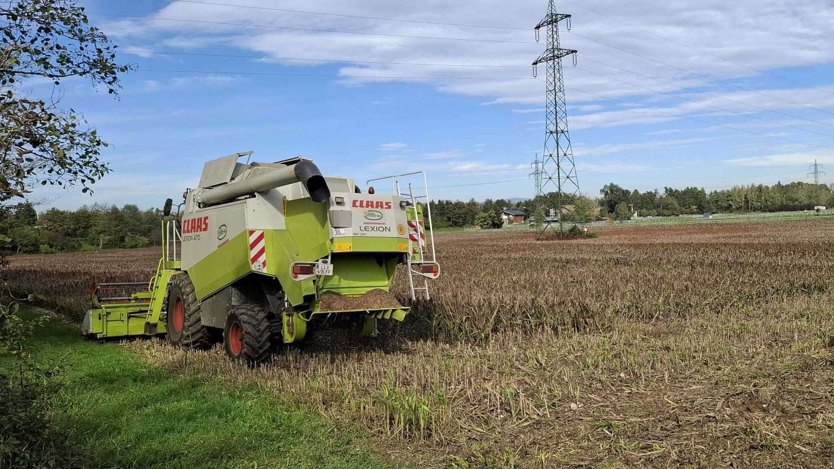 Ernte Landessortenversuch Sorghumhirse in Hörsching, 8. Oktober 2024