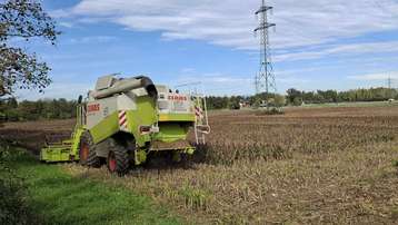 Ernte Landessortenversuch Sorghumhirse in Hörsching, 8. Oktober 2024 Ernte Landessortenversuch Sorghumhirse in Hörsching, 8. Oktober 2024