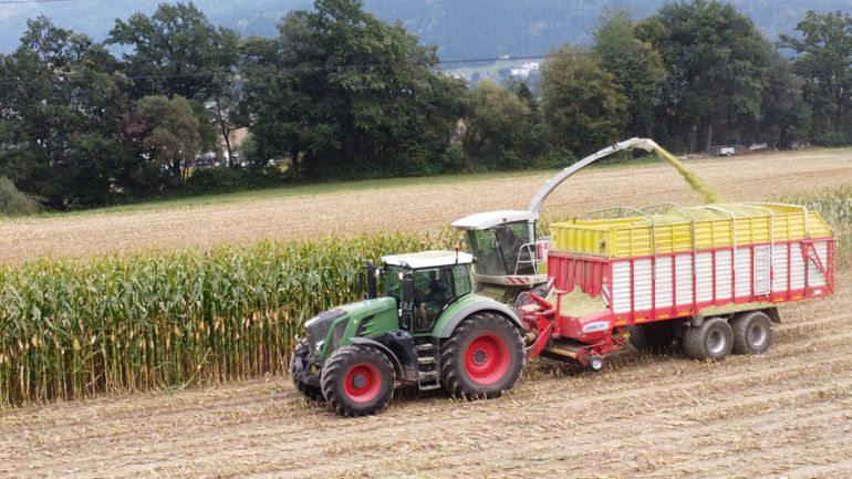 Silomais Ernte 2024.jpg © Stromberger Silomais Ernte 2024.jpg © Stromberger