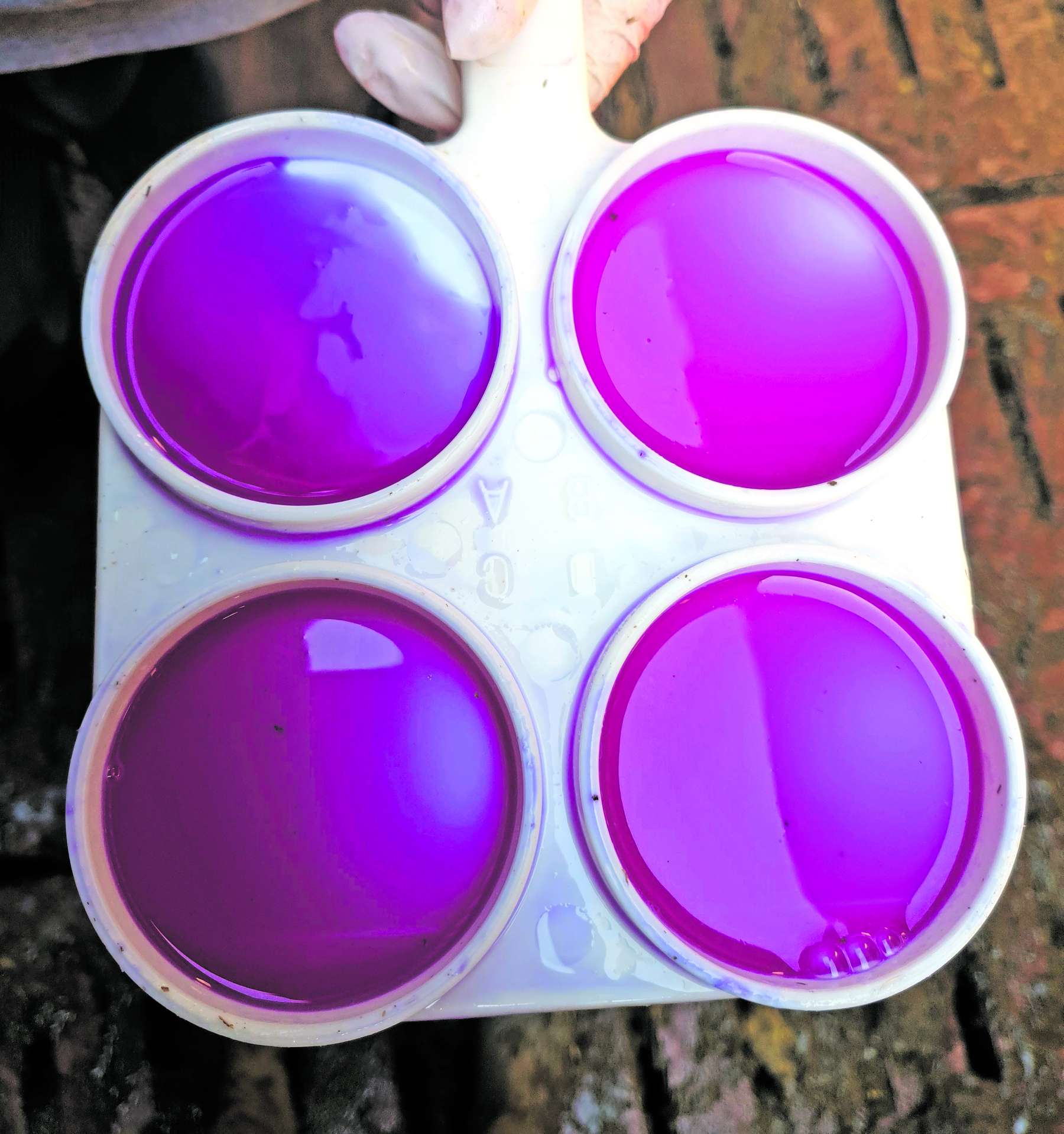 Schalmtest.jpg © Romana Schneider Schalmtest.jpg © Romana Schneider