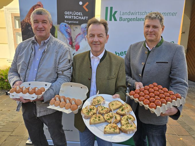 Welteitag: Heimischer Eierkonsum steigt.jpg © LKBgld_Tesch-Wessely Welteitag: Heimischer Eierkonsum steigt.jpg © LKBgld_Tesch-Wessely