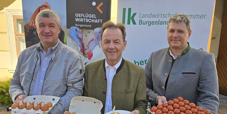 Welteitag: Heimischer Eierkonsum steigt © LKBgld_Tesch-Wessely