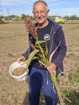 Körnersorghum Landessortenversuch 2024.jpg