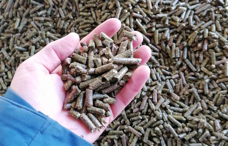 Agrar-Pellets.jpg © LK OÖ/Fritscher Agrar-Pellets.jpg © LK OÖ/Fritscher