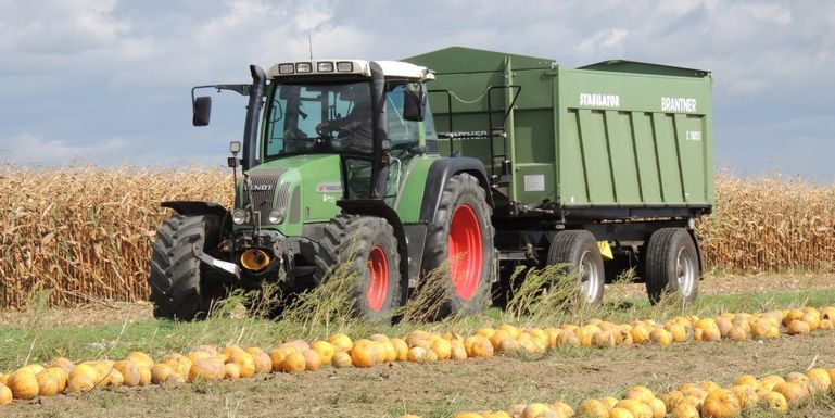 Kürbisernte_LK OÖ_klein © Landwirtschaftskammer OÖ