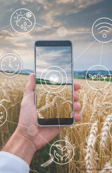 KI im Pflanzenbau .jpg © Eva Kail/LK Niederösterreich-KI generiet KI im Pflanzenbau .jpg © Eva Kail/LK Niederösterreich-KI generiet