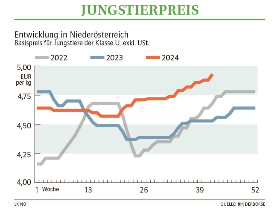 Grafik Stierpreis 42 2024.jpg