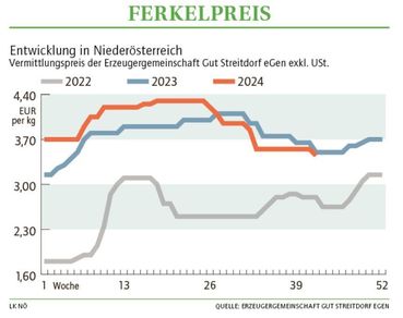 Grafik Ferkelpreis 42_2024.jpg © LK NÖ Grafik Ferkelpreis 42_2024.jpg © LK NÖ