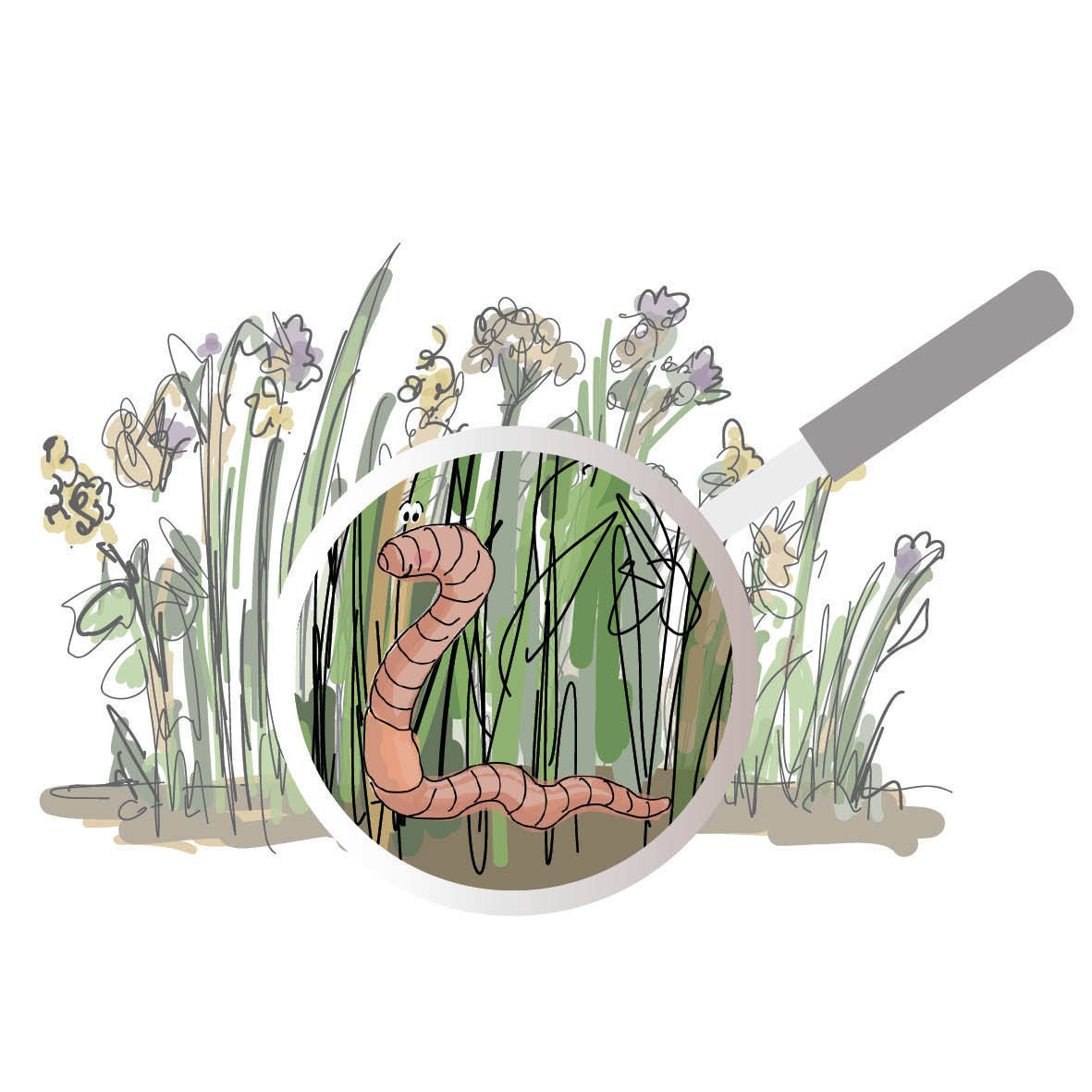 Biodiversität_Regenwurm Grünbrache.jpg © Eva Kail/LK Niederösterreich Biodiversität_Regenwurm Grünbrache.jpg © Eva Kail/LK Niederösterreich