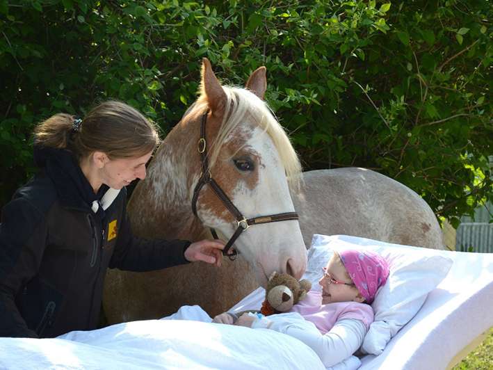 Tiergestützte Therapie am Lichblickhof.jpg