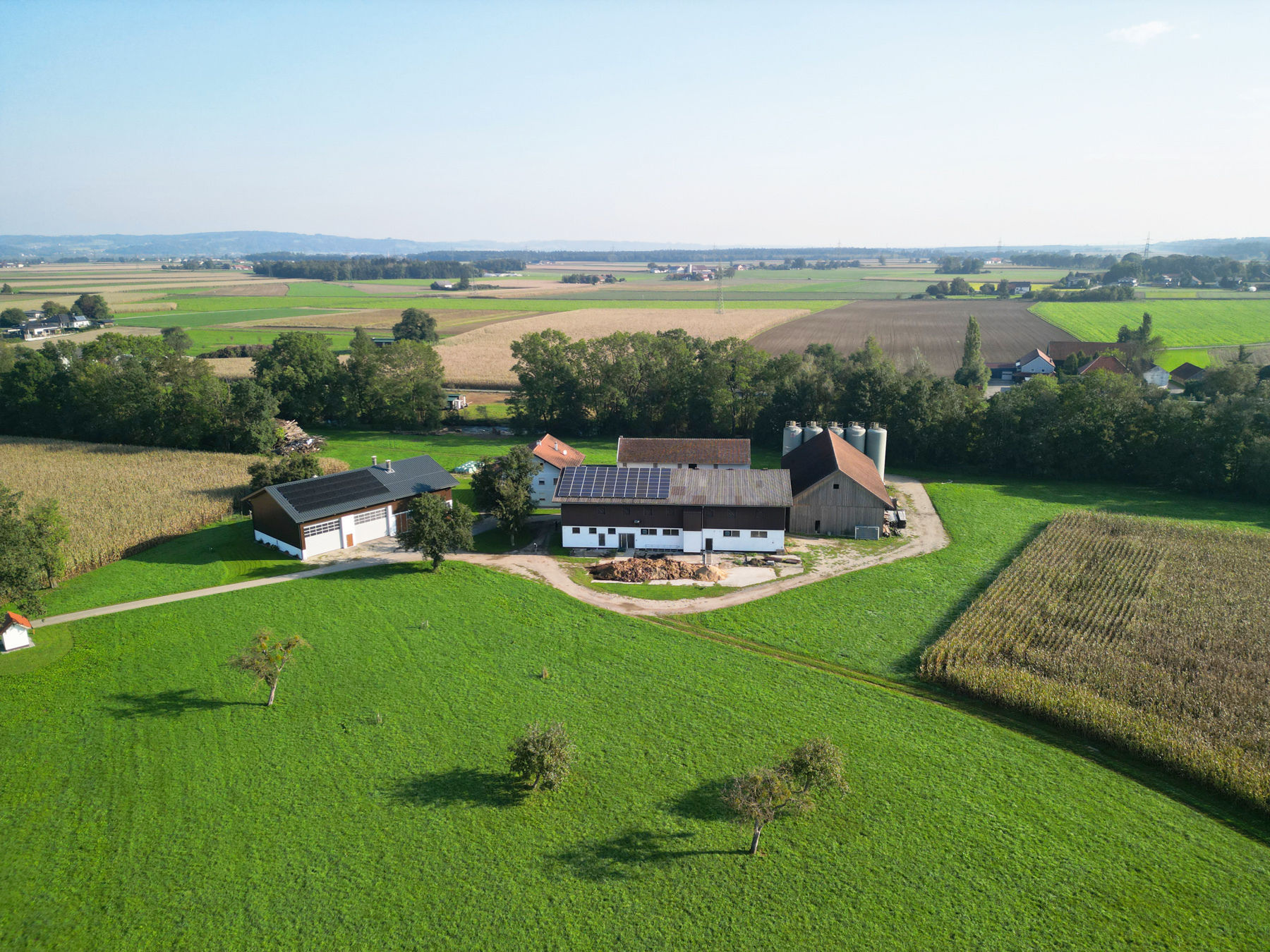 Bei der Kalb-Rosé-Mast braucht‘s Feingefühl: Müller in Öllersdorf, Burgkirchen.jpg © Djuhic Bei der Kalb-Rosé-Mast braucht‘s Feingefühl: Müller in Öllersdorf, Burgkirchen.jpg © Djuhic