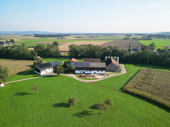 Bei der Kalb-Rosé-Mast braucht‘s Feingefühl: Müller in Öllersdorf, Burgkirchen.jpg © Djuhic Bei der Kalb-Rosé-Mast braucht‘s Feingefühl: Müller in Öllersdorf, Burgkirchen.jpg © Djuhic