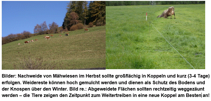 Nachweide.gif © LK Steiermark