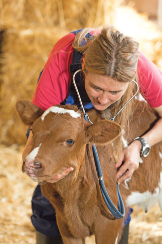 Land fördert  Tiergesundheit mit einer Million Euro.jpg