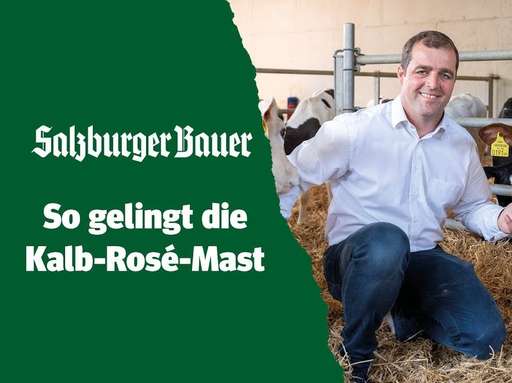 Kalb-Rosé-Mast.jpg