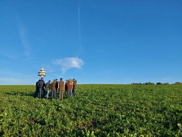 Herbstfeldbegehung mit Norbert Ecker, 17.10.2024