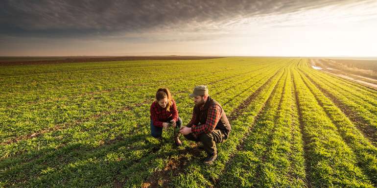 Landwirte am Feld.jpg