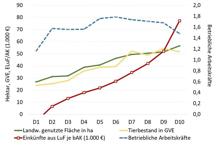 Zusammenhang von Betriebsgröße und Einkommen nach Erfolgsgruppen.jpg