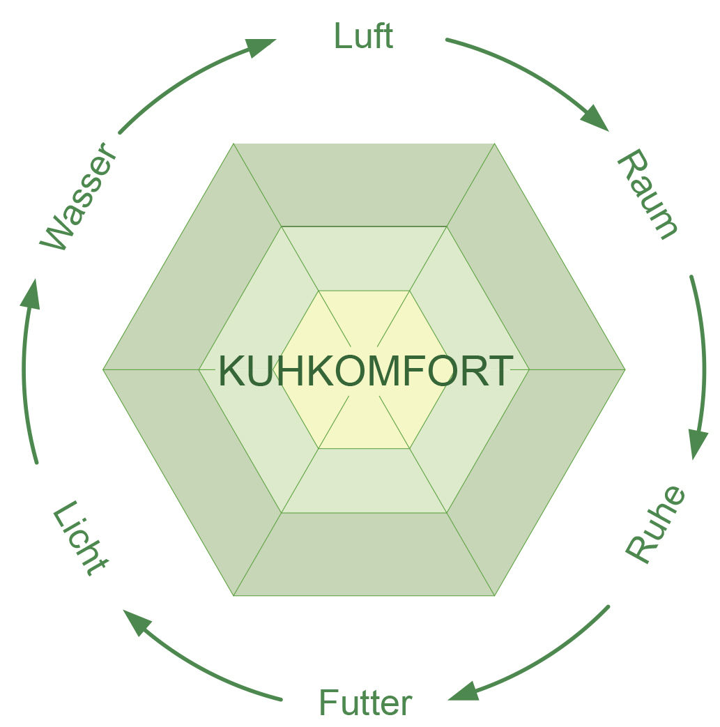 Kuhkomfort (1).jpg