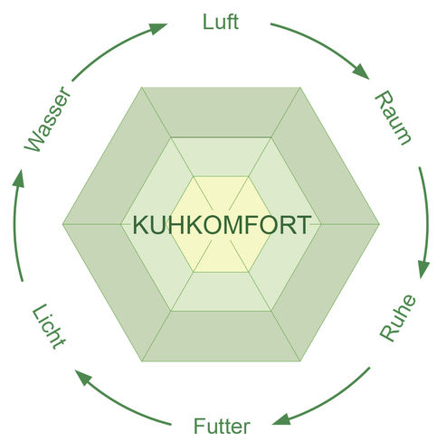 Kuhkomfort (1).jpg