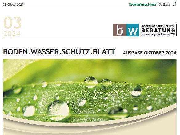 BWSB Blatt Oktober 2024.jpg