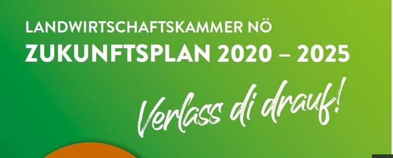 Zukunftsplan 2020-2025.jpg