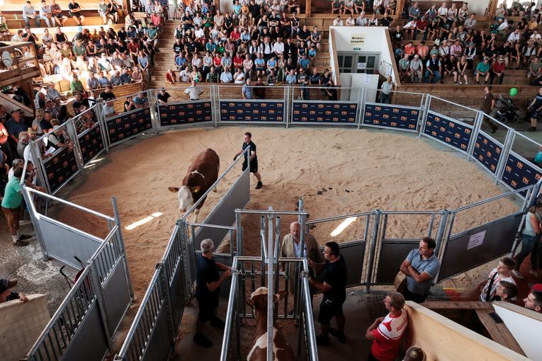 Versteigerung 230908_2006  (30_sRGB_dualpixel).jpg © FIH Versteigerung 230908_2006  (30_sRGB_dualpixel).jpg © FIH