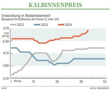 Grafik Kalbinnenpreis 43_2024.jpg © LK NÖ Grafik Kalbinnenpreis 43_2024.jpg © LK NÖ