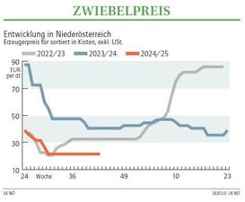 Grafik Zwiebelpreis 43 2024.jpg